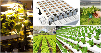 Puff N Stuff Hydroponics Supplies Equipment Plants